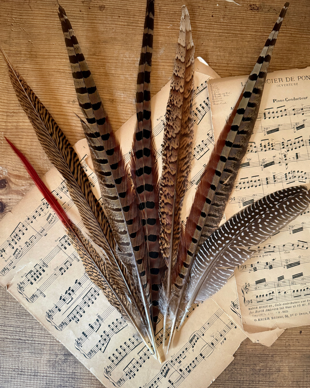 George Leigh Signature Feather Bundle