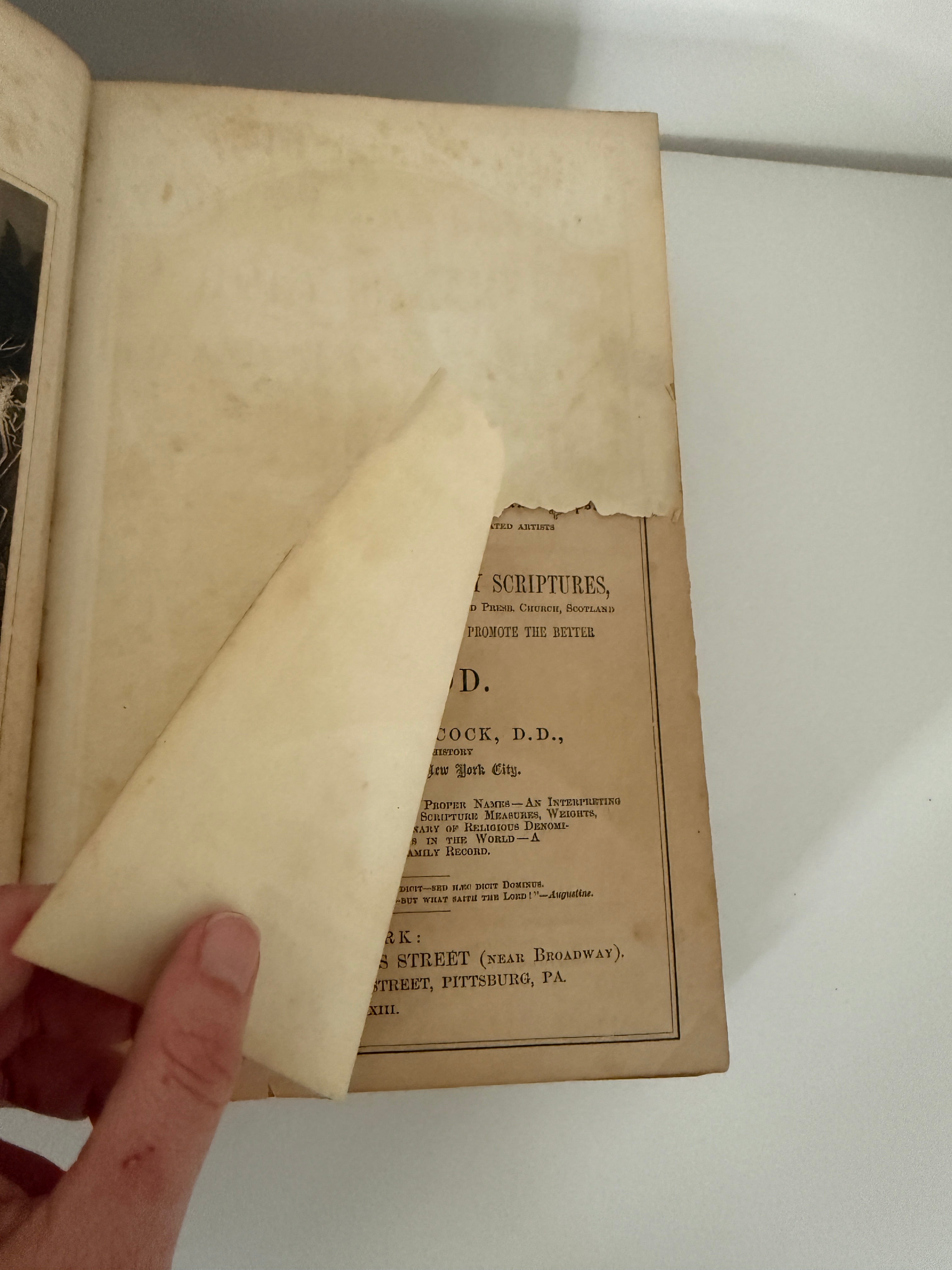 1873 Hitchcock's New and Complete Analysis of the Holy Bible | Full Leather Family Bible with Steel Engravings & Maps
