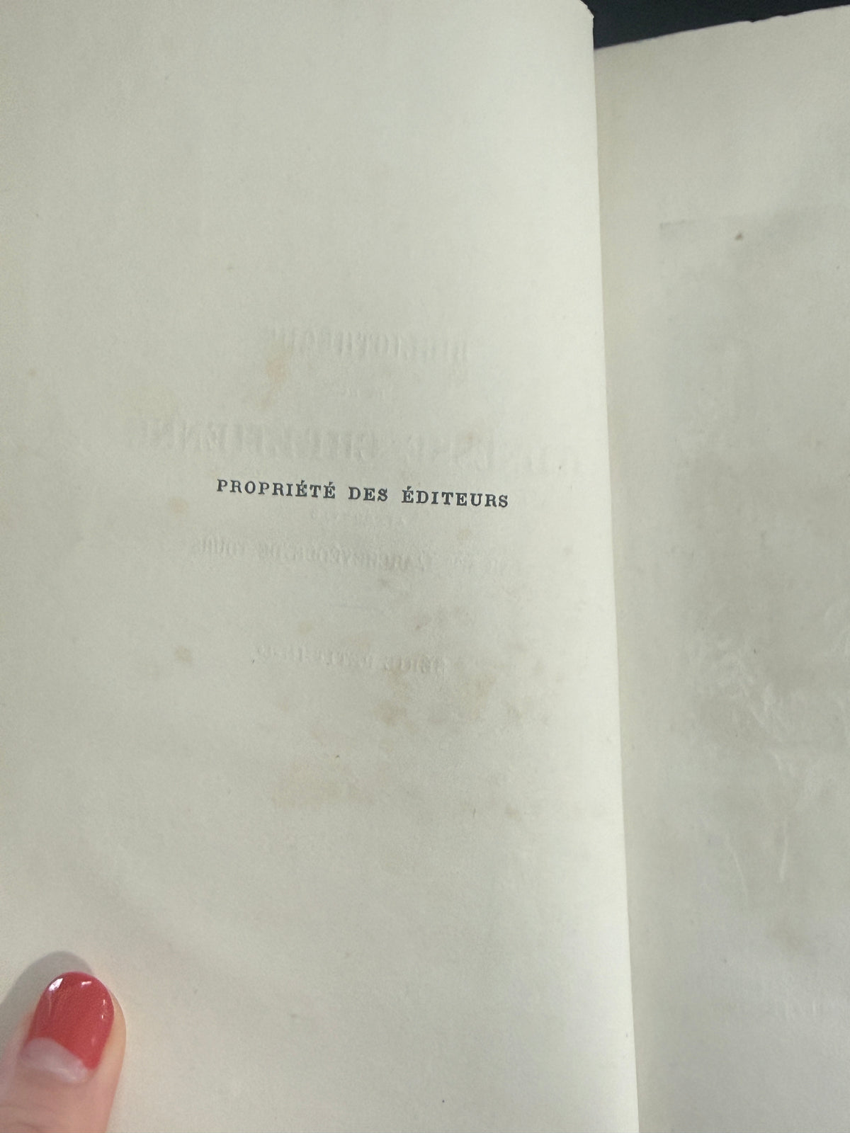 Marianne ou Le Dévouement | 1874 French Decorative Book | Free US Shipping