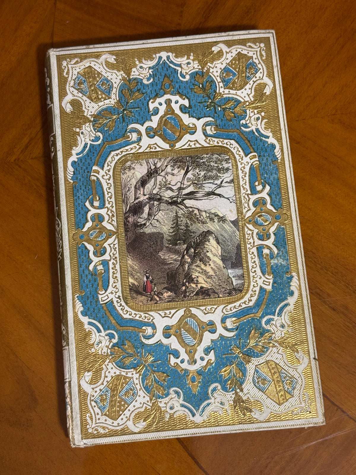 French Cartonnage Book — Les Cent Merveilles de la Nature, 1859 | Free US Shipping