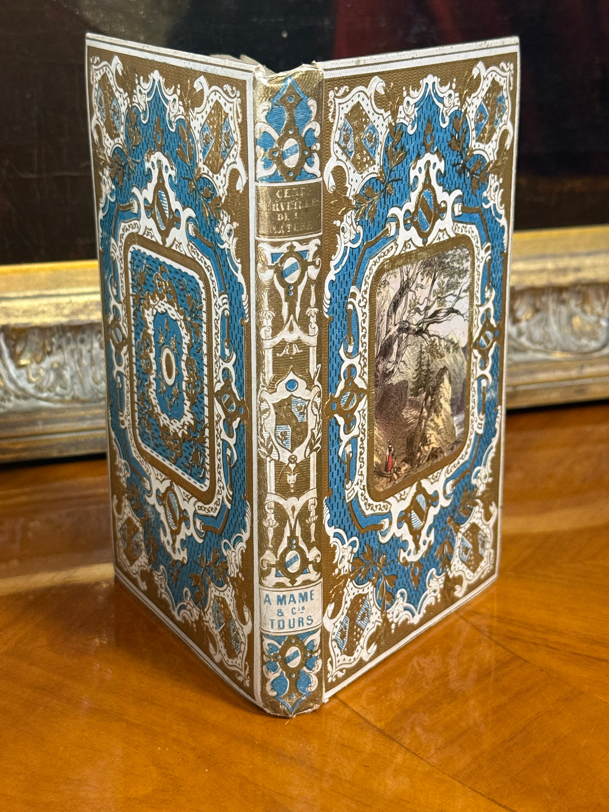 French Cartonnage Book — Les Cent Merveilles de la Nature, 1859 | Free US Shipping