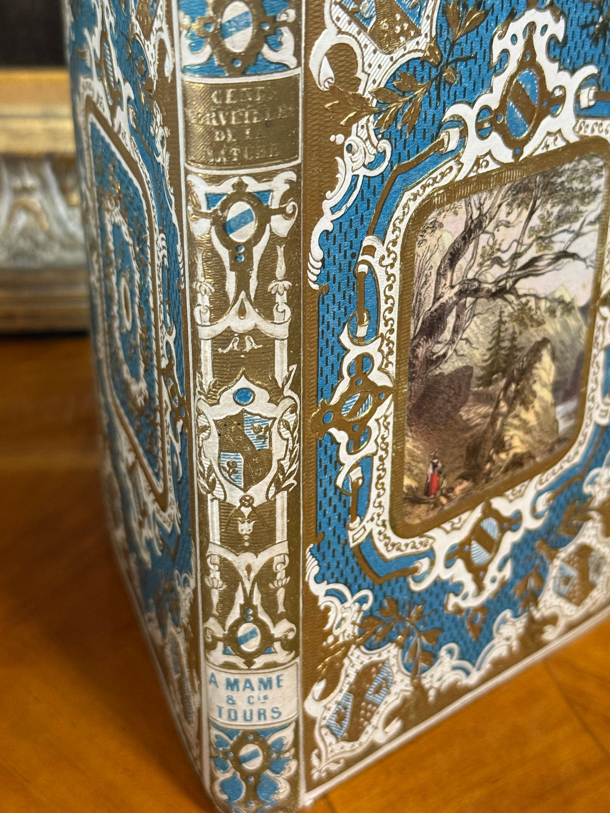 French Cartonnage Book — Les Cent Merveilles de la Nature, 1859 | Free US Shipping
