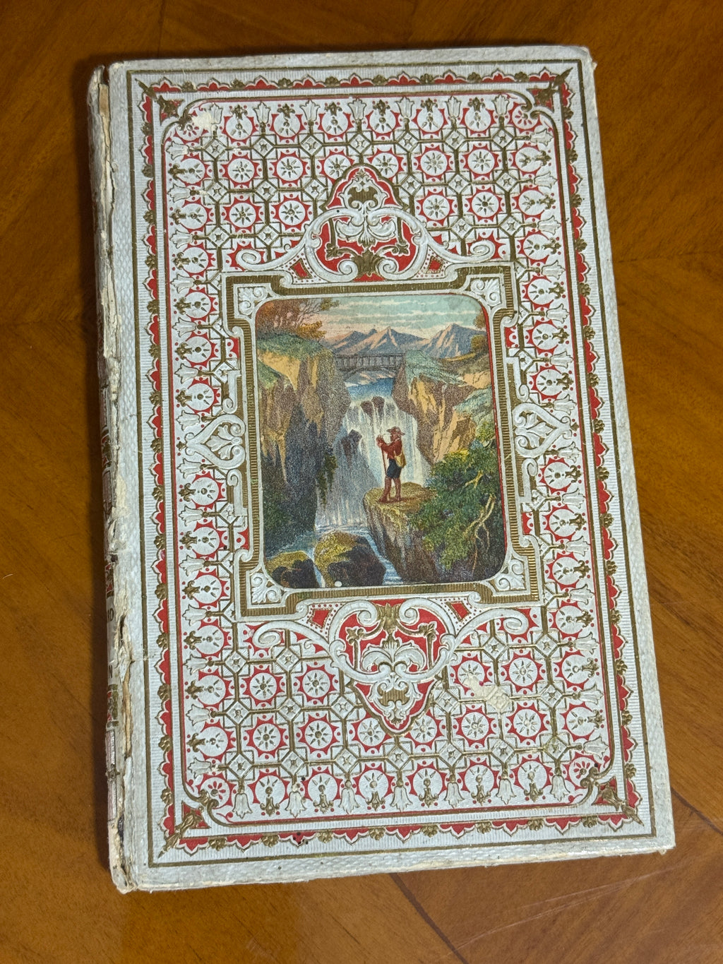 La Suisse — French Cartonnage Book, 1880 | Free US Shipping