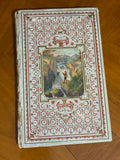 La Suisse — French Cartonnage Book, 1880 | Free US Shipping