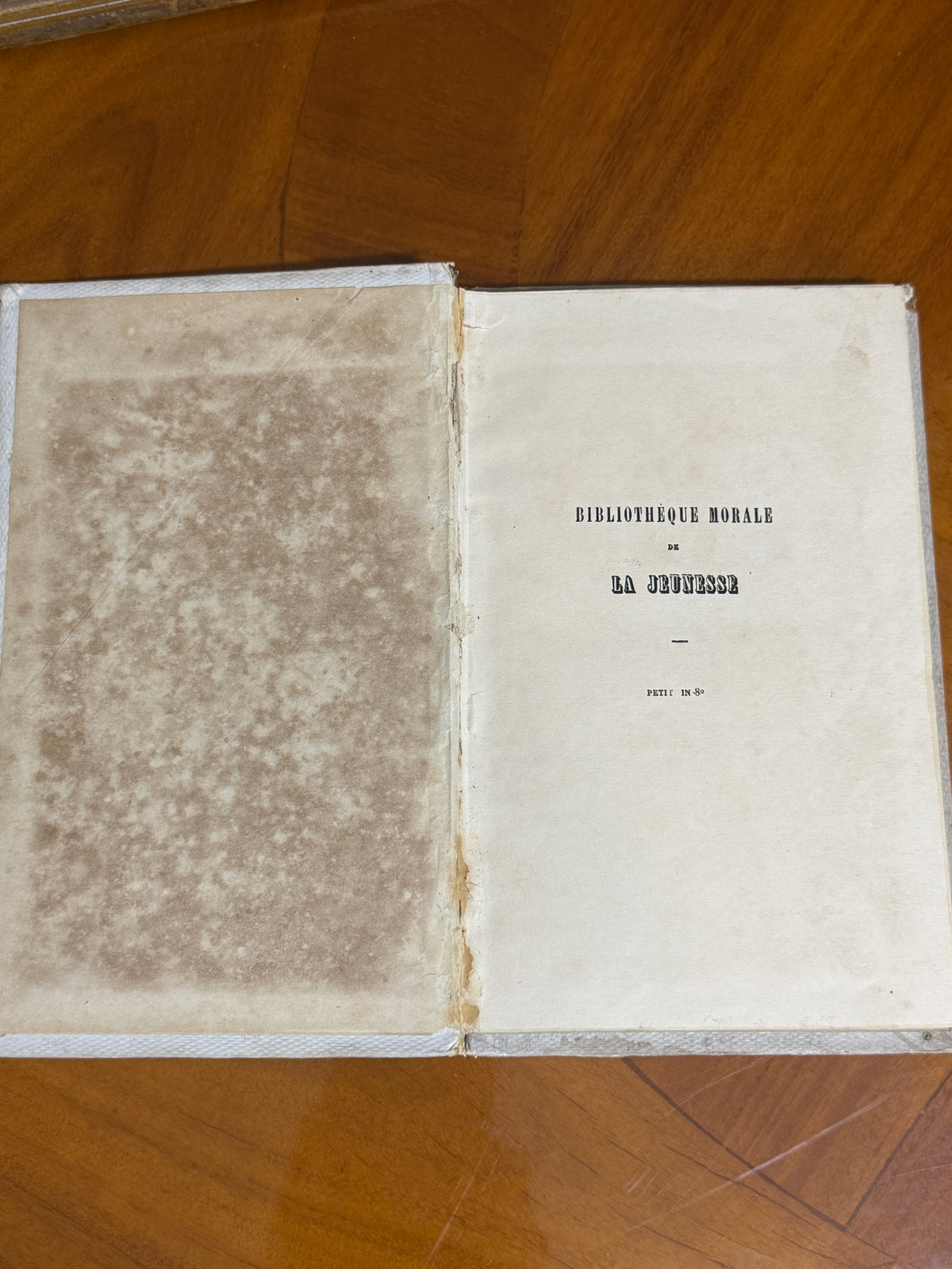 La Suisse — French Cartonnage Book, 1880 | Free US Shipping