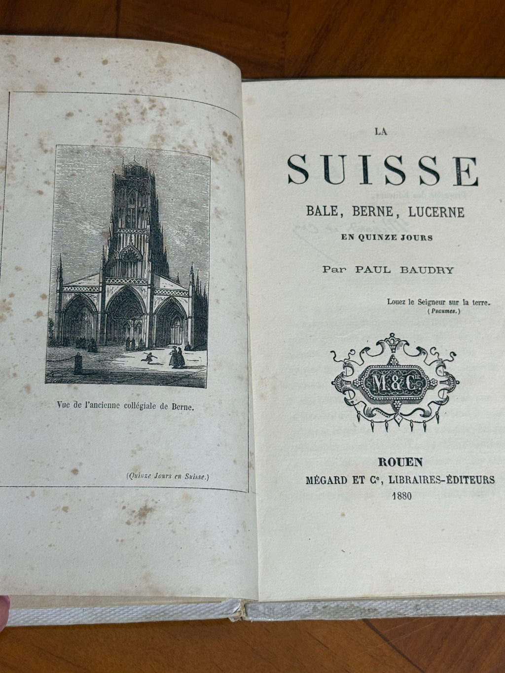 La Suisse — French Cartonnage Book, 1880 | Free US Shipping